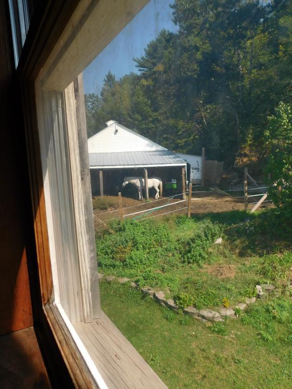 No View Farm Bed & Breakfast Rumford Екстериор снимка