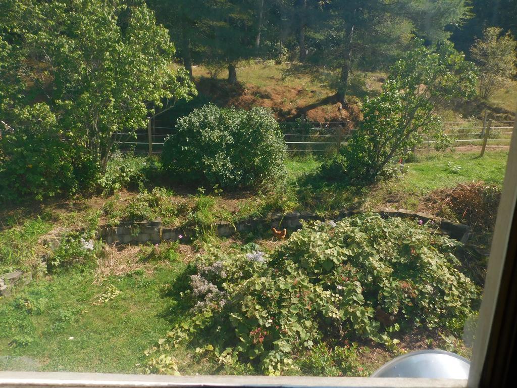 No View Farm Bed & Breakfast Rumford Екстериор снимка